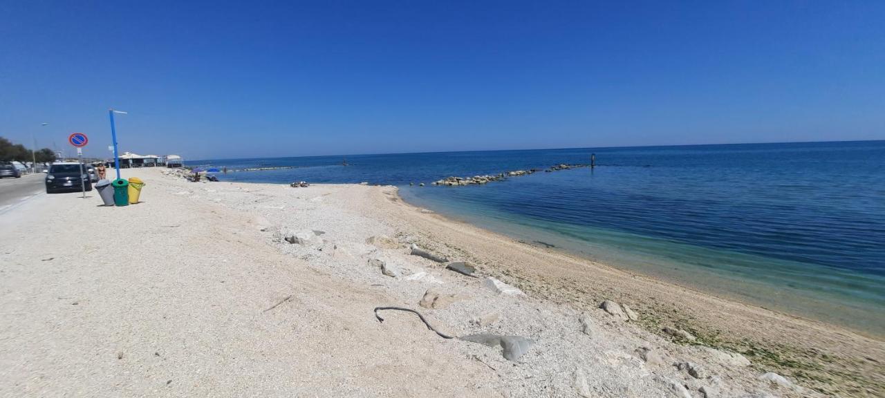 Casamarina Leilighet Marina di Montemarciano Eksteriør bilde